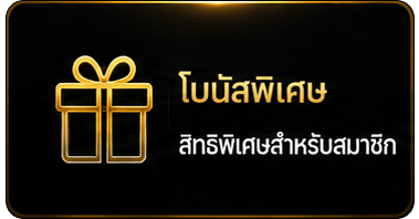 โบนัสพิเศษ