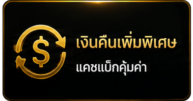 เงินคืนเพิ่มพิเศษ
